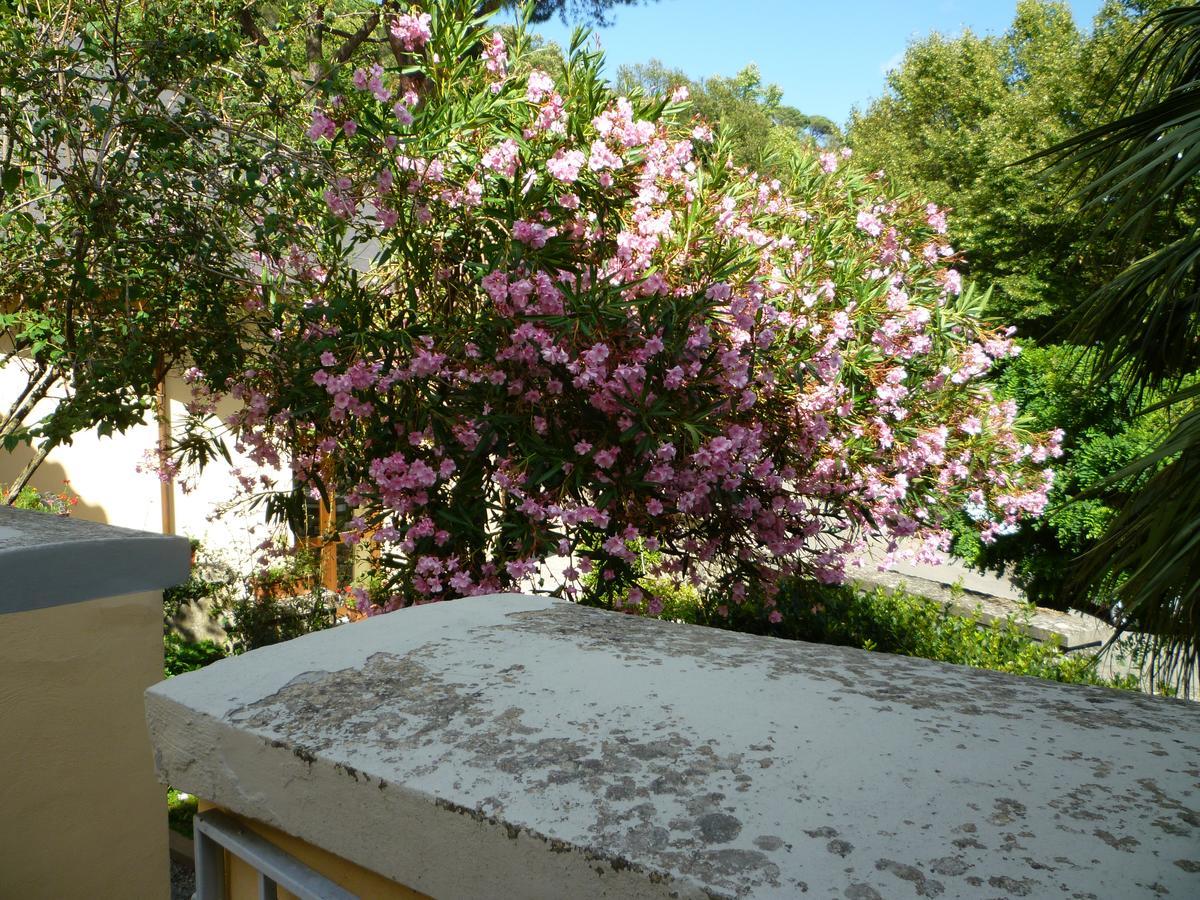 Villa Santa Margherita - B&B Cortona Dış mekan fotoğraf